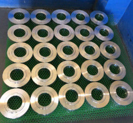 Resbalón Ring Plate Ring Flange de la clase 300 de MSS SP44 Ring Joint Carbon Steel Flange